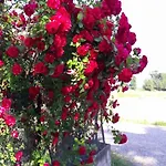 Barbettini B&B 베레구아르도