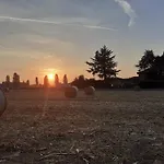 Barbettini 3* 贝雷瓜尔多