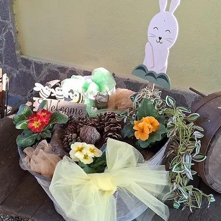 Bed & Breakfast Barbettini Bereguardo